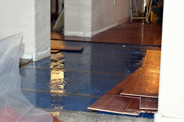 Professional Basement Flooding technician working in Highspire, PA